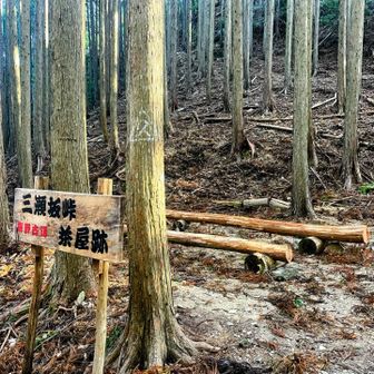 茶屋跡　丸太ベンチあり