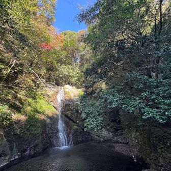 無事下山後、御滝神社の滝に寄ってみました。