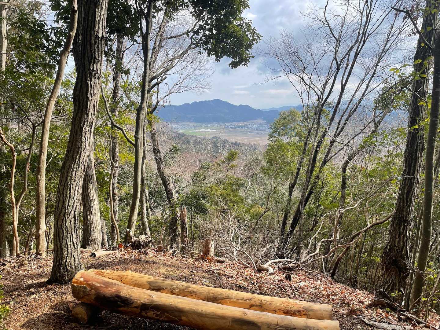 金毘羅さん登山口-田古加山-鍛治谷登山口 周回コースの写真