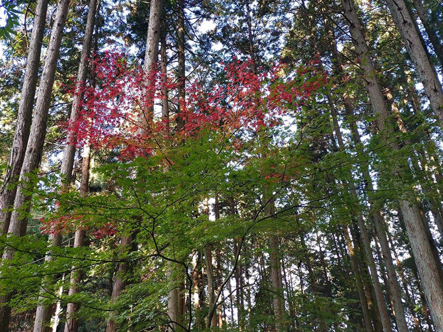 いい感じ🟢🔴