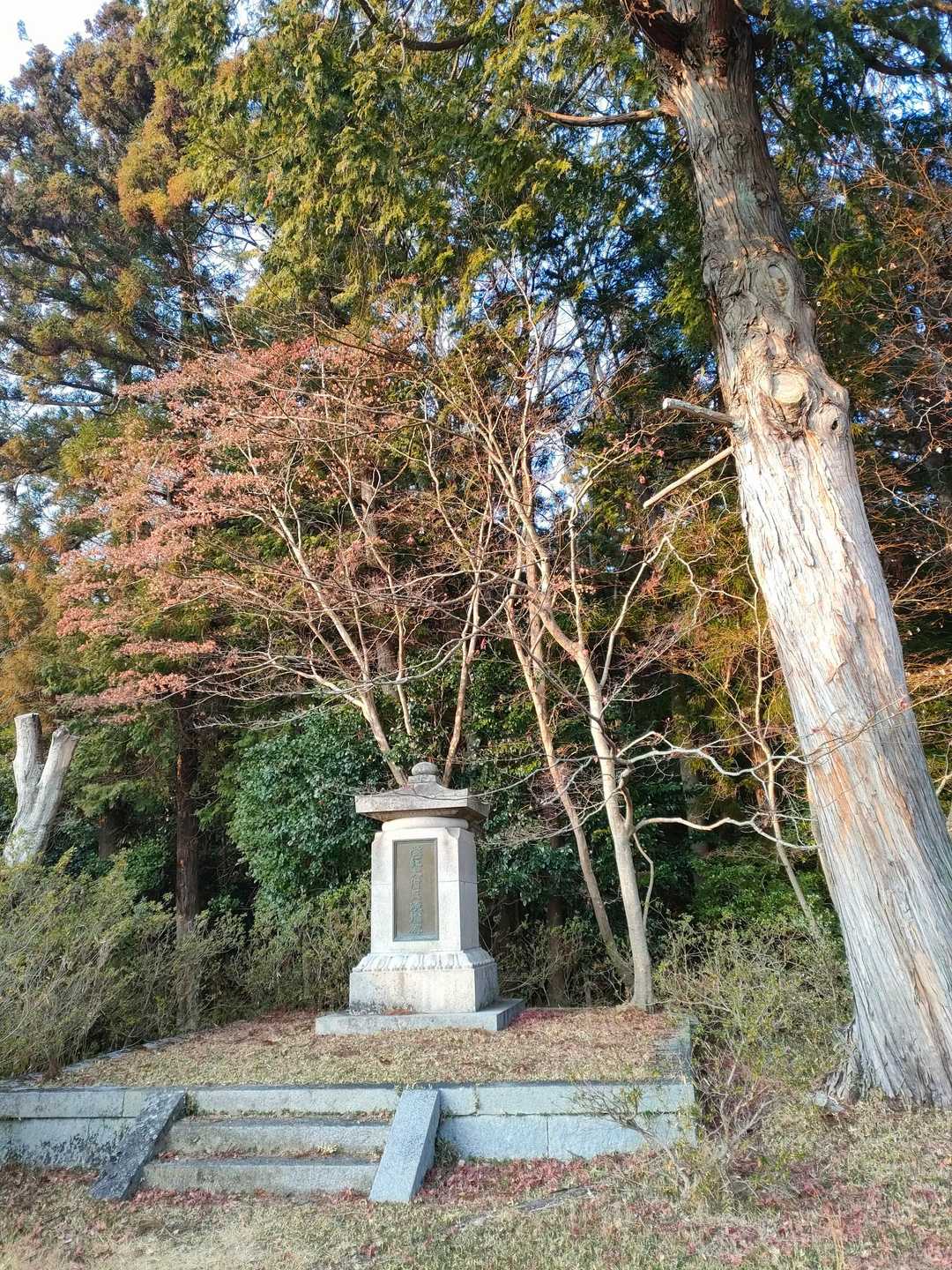 三上山 往復コースの写真
