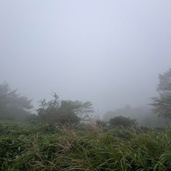 ガッスガス🙄
でもいいんです🎶
足がどこか登りたくてウズウズしてただけなので👌