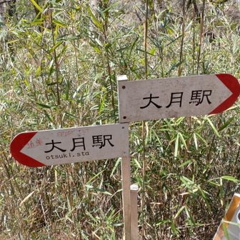 3年ぶりのどっちやねん　
分かりやすくなってました