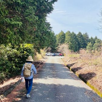 無事に80歳の母を連れて下山できました⛰️
あと何回一緒に登れるかな😊
これからもなるべくゆる〜い山、気軽に登れて絶景、往復2〜3時間ぐらいで段差がない山、探します🤗