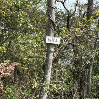 稲荷山
ここで引き返す