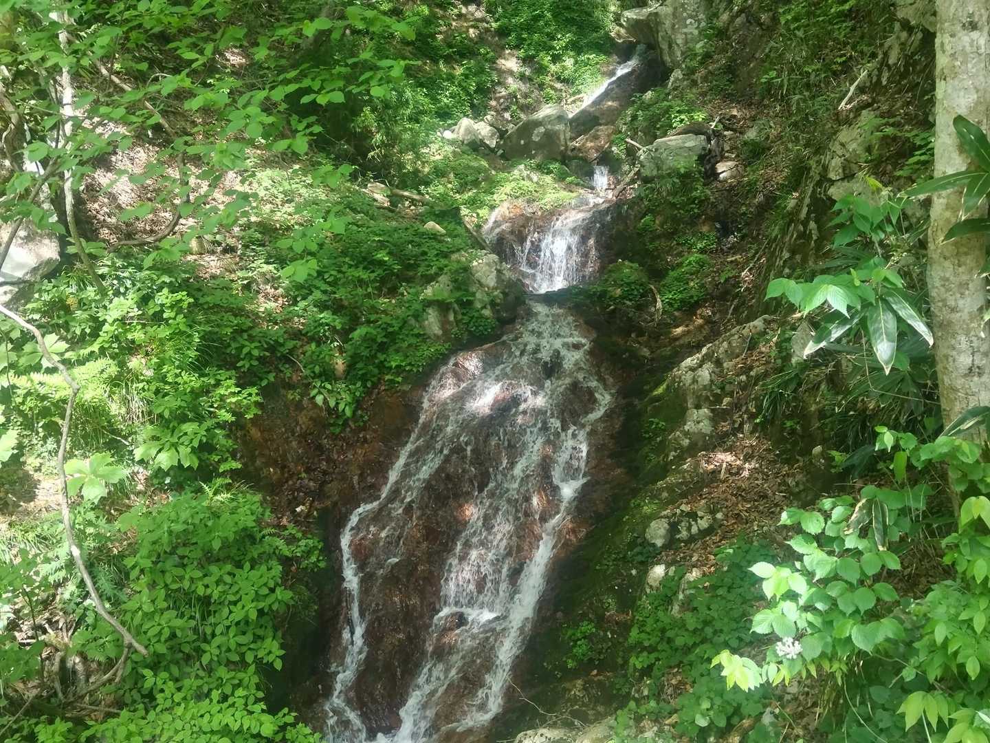 林道途中の滝