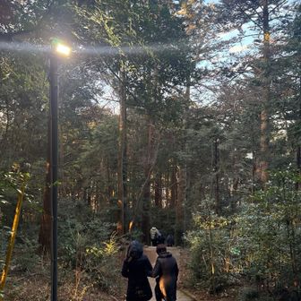 さて帰ります‼️