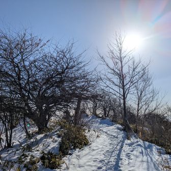 お日様あったかい