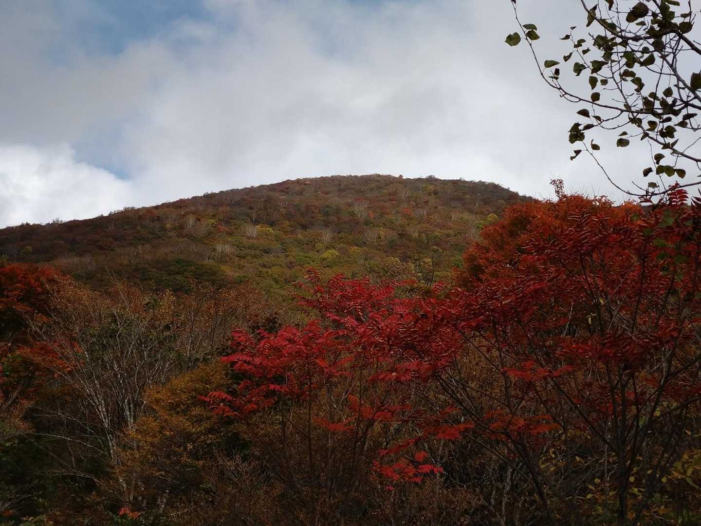 ここから見る泉ヶ岳が好き。
綺麗に染まってますね🍁