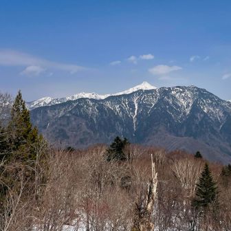 曇りがけだけど