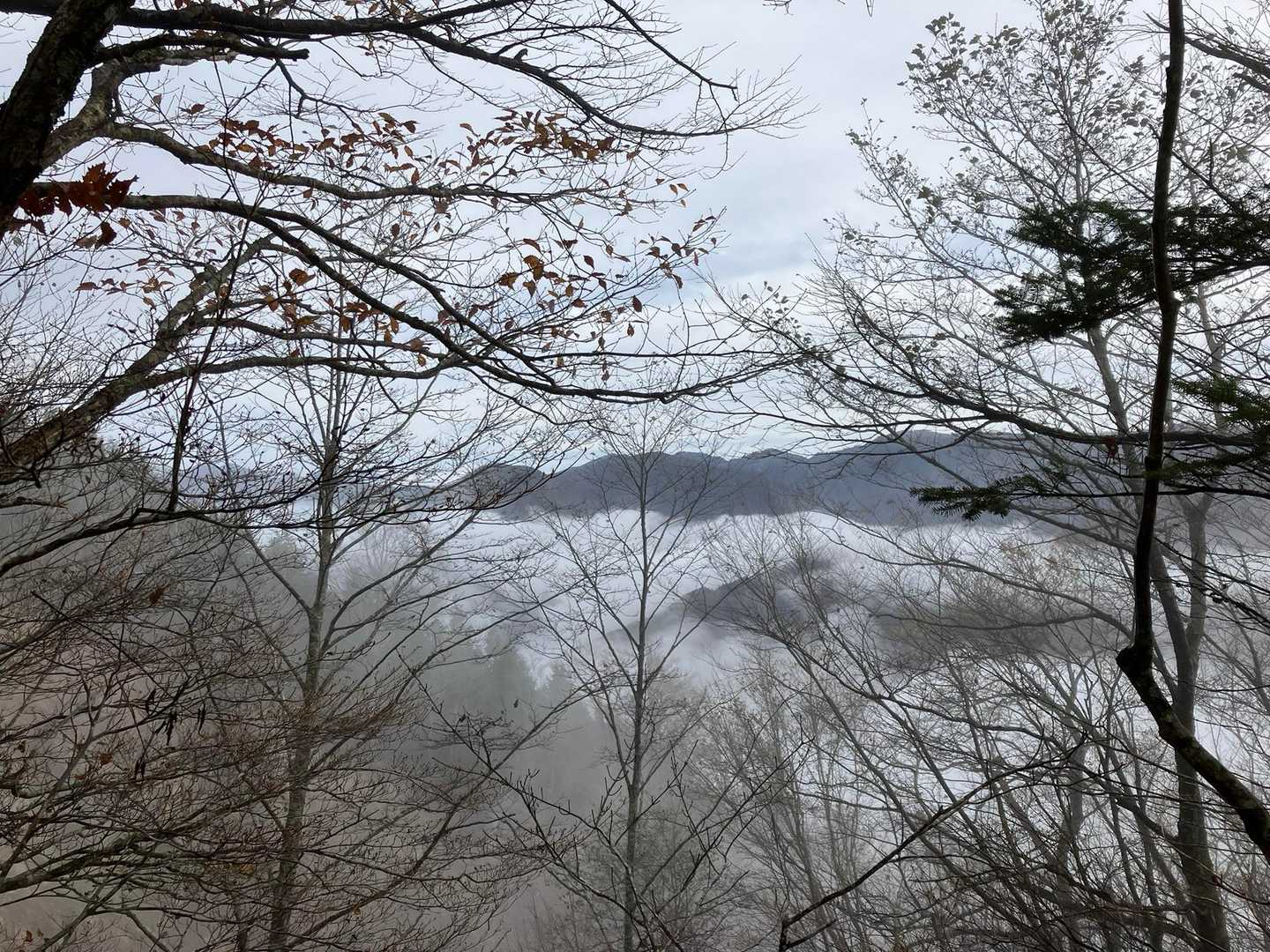 深南部方面も雲海✨