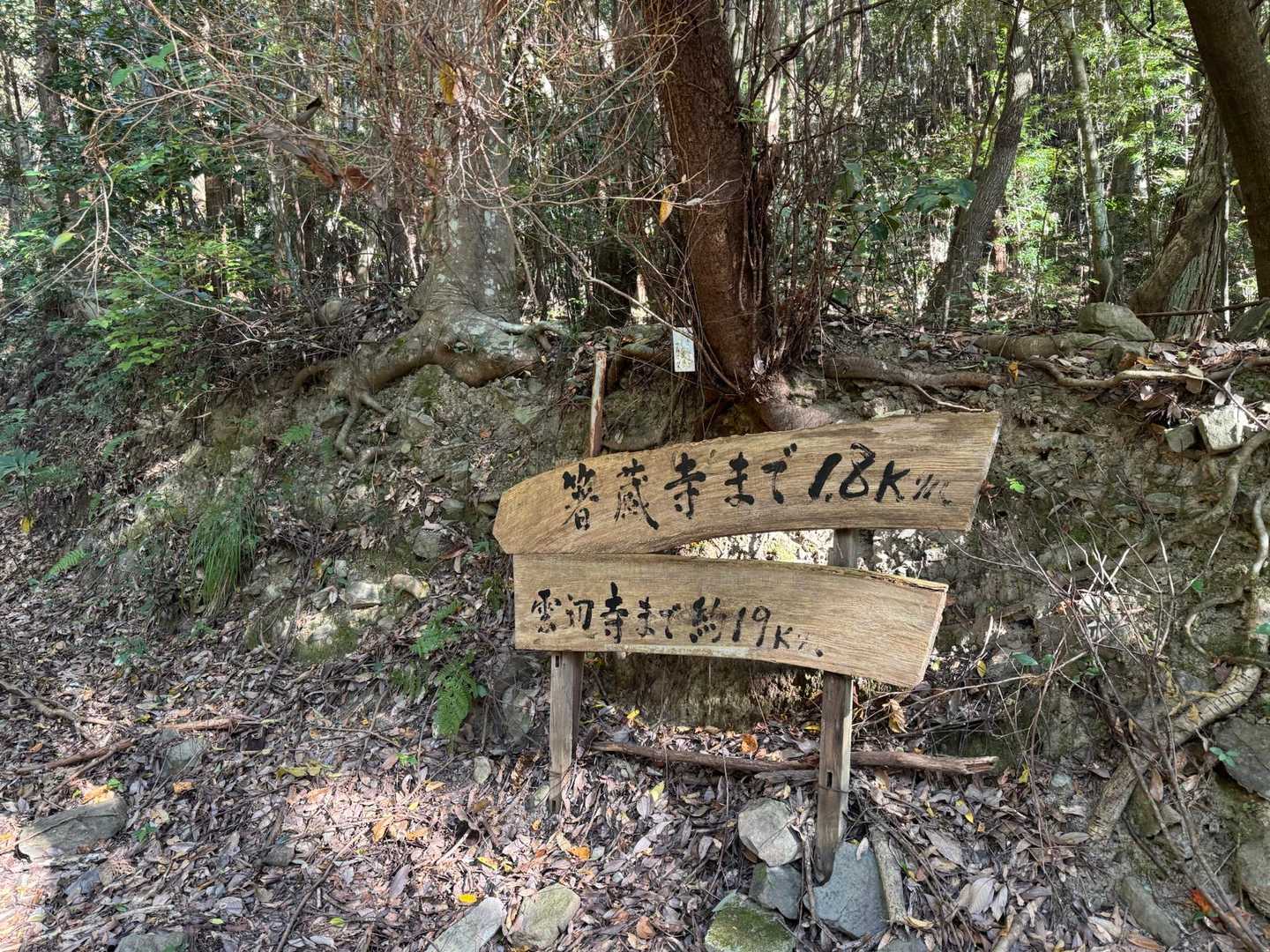 登山口駅-箸蔵寺-箸蔵寺駅 往復コースの写真