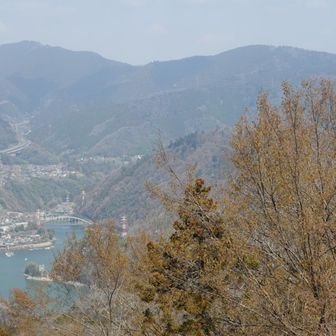 大明神展望台からの眺め。左の山は景信山、右は小仏城山