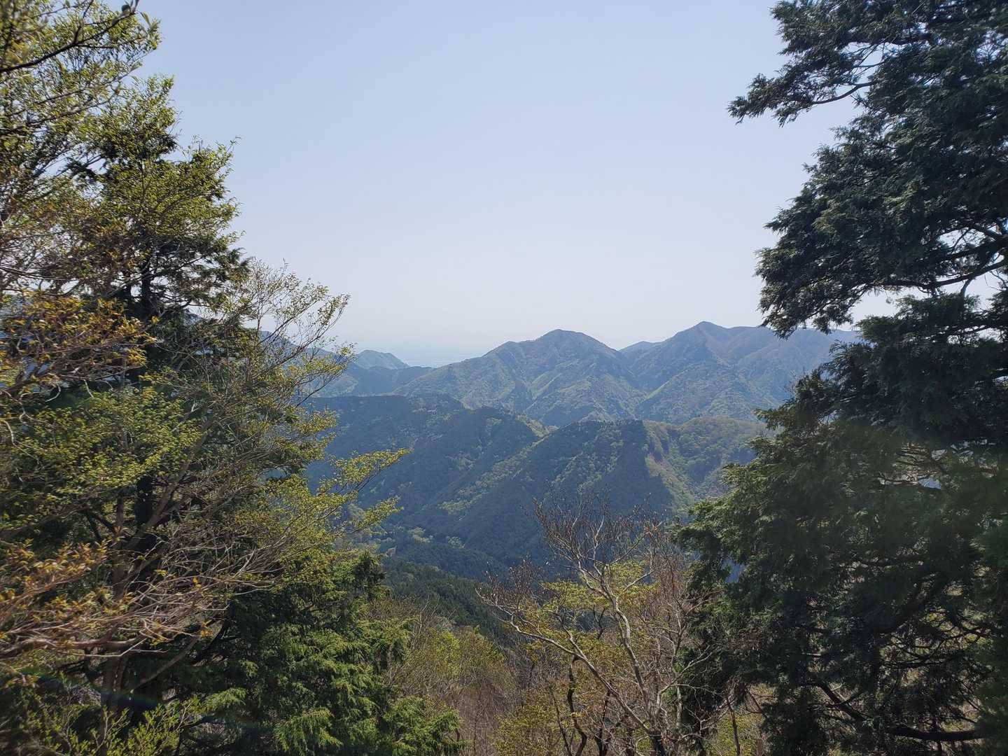 良いね👍