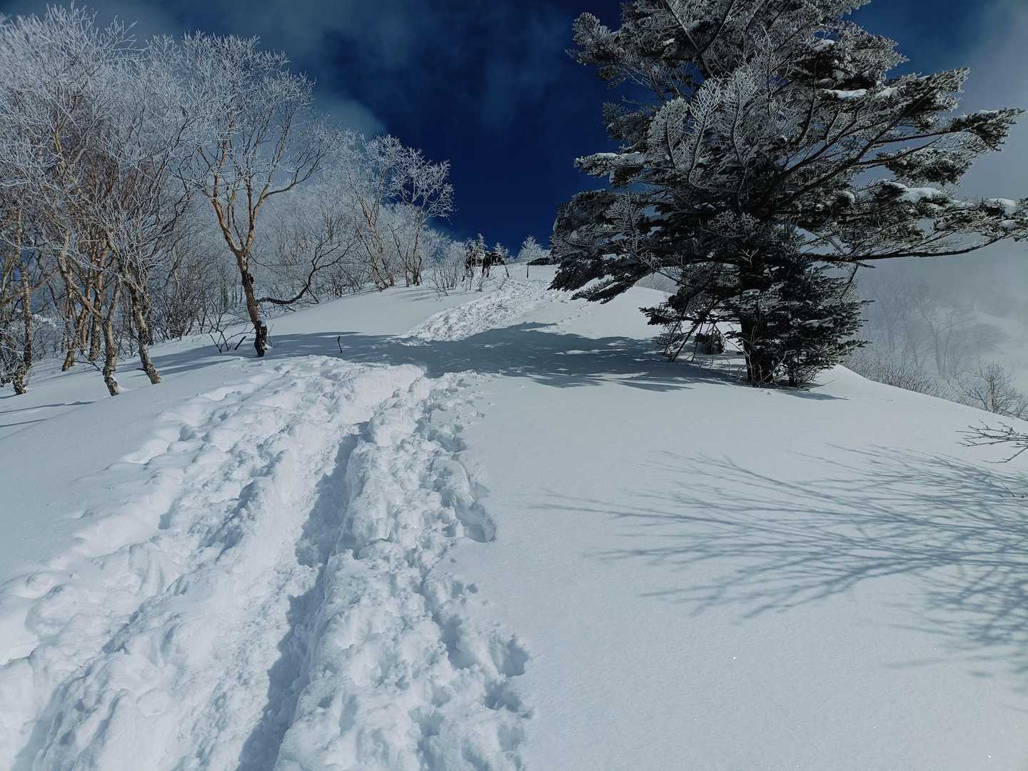 空が蒼い!