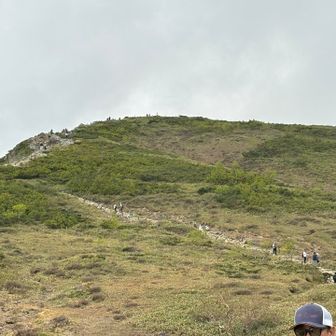 すごい
人が小さい