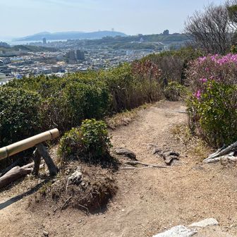 ぼんぼん山の小さな山頂広場✨景色が素敵✨
　竹ベンチで🍙ごはん食べて♪