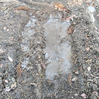 水溜まりと霜柱