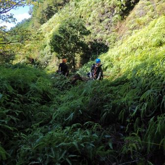 ＜作業開始＞小浦登山口、ルート分かるが2年間刈らないと･･･。
早朝まで雨、スパイク足袋・登山靴・スパイク長靴と3人とも足元バラバラ（笑）