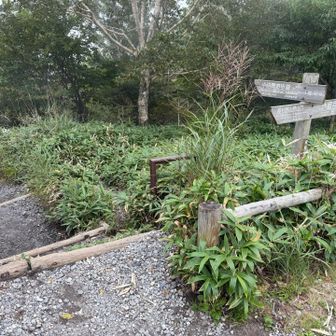 小沼へ