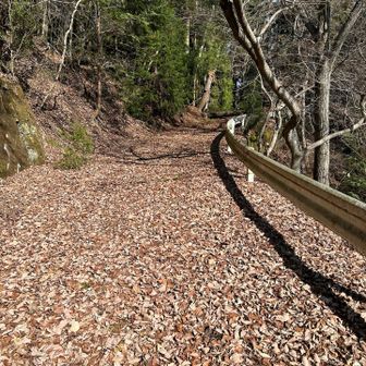 分岐点に戻って田能城に向かいます。ここも林道歩きです。