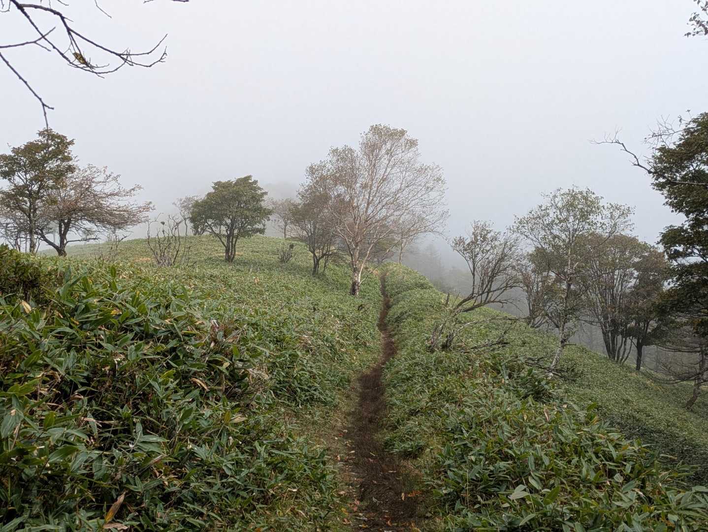 三峰登山口-三峰山-和田山北峰 周回コースの写真