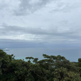 海が見えます💦