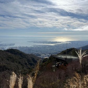 展望台に来たということは