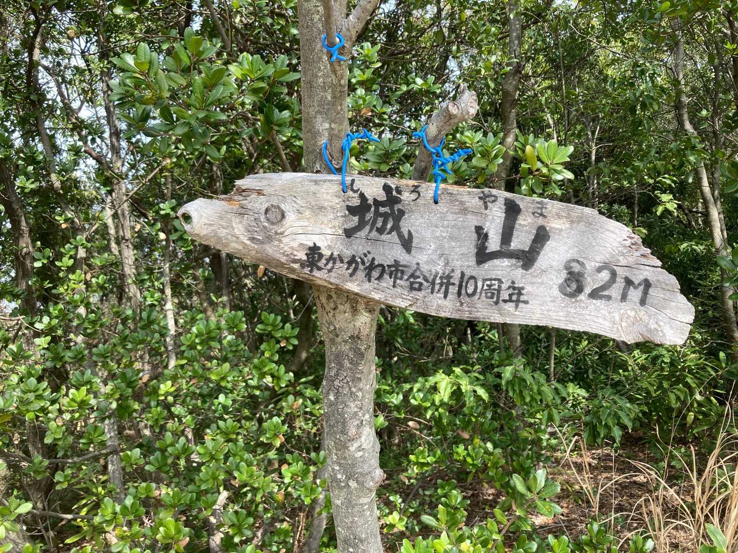 少し歩くと、城山の山頂82m