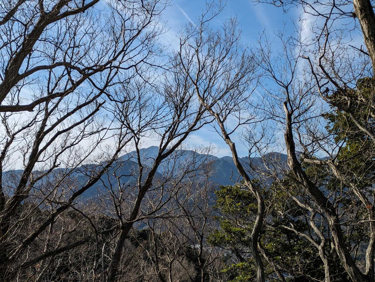 右側には大山が見えました。