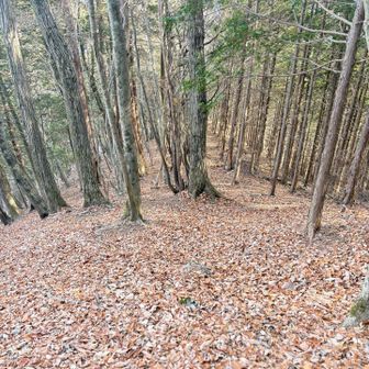 また滑りそうな下り😅