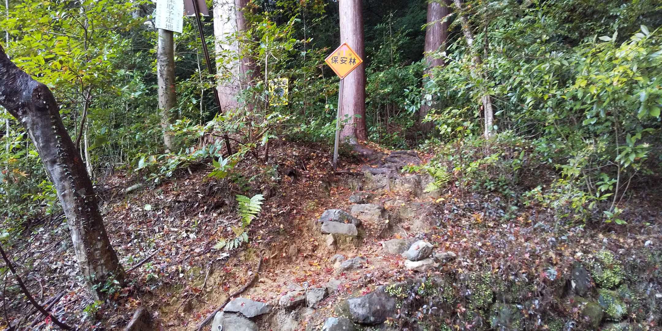 本殿から少し階段を下りた左側にひっそりと登山口