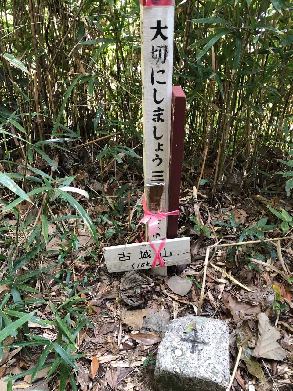 別の角度から。