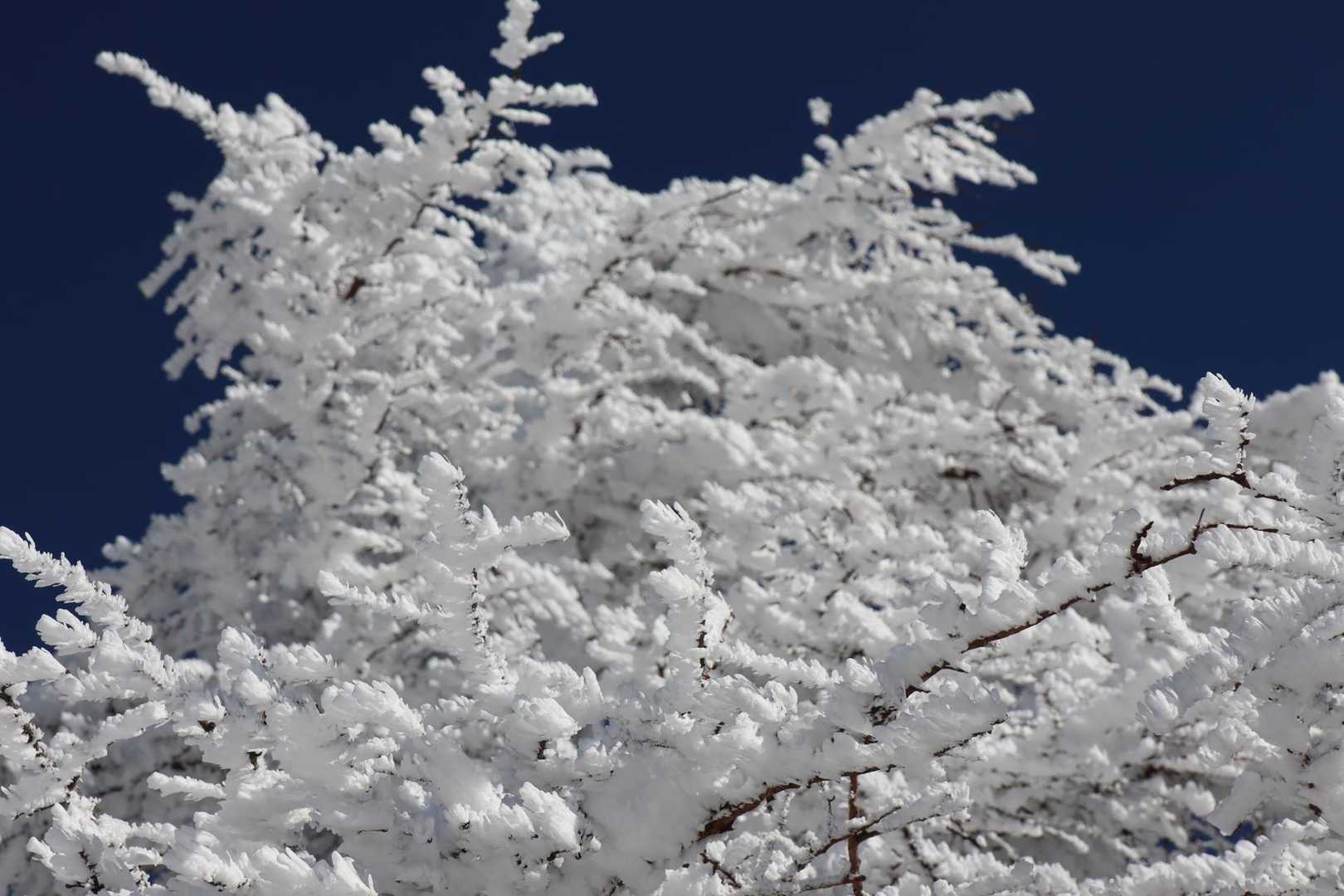 久しぶりの雪山装備、、疲れるー