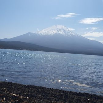 ARA