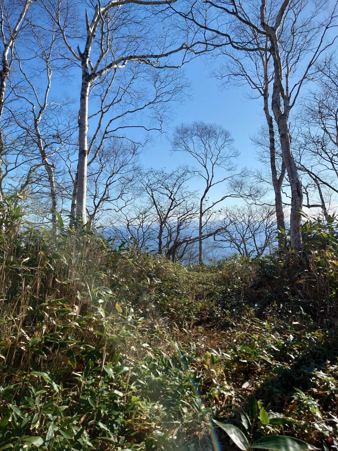 三角山。とくに標識ないのでここを山頂とする‼️