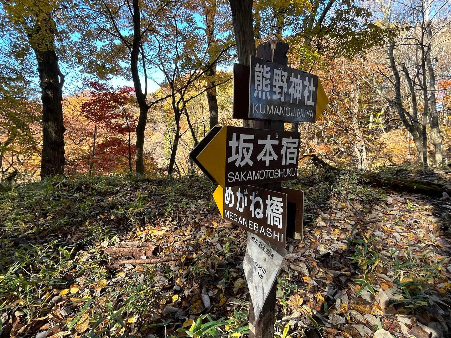 ここで旧中山道とお別れ
分岐をめがね橋方面へ降っていきます