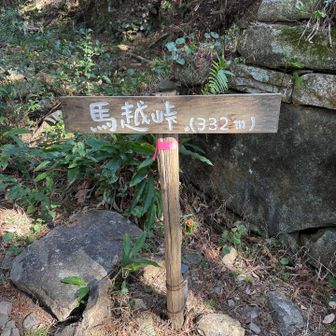 馬越峠
戻って来ました