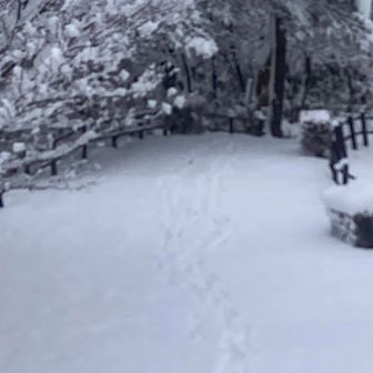 この足跡を追って