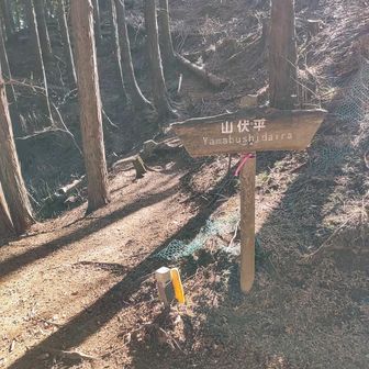 さて、山伏平まで戻って来たので帰りましょう。