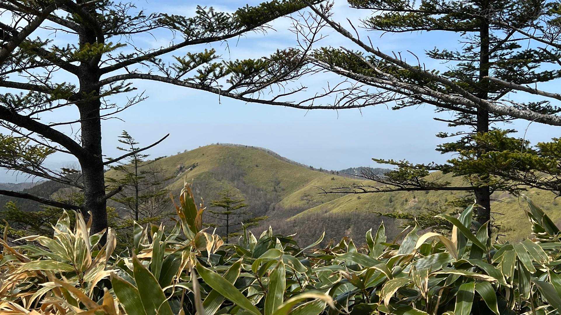 対面　歩けるの？