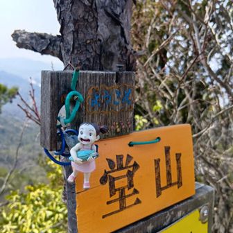 めいのフィギュアが😮