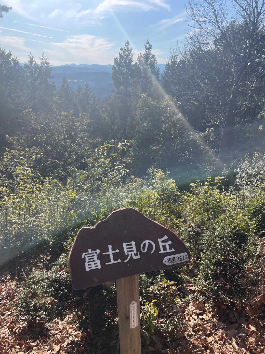 茜台自然広場登山口-柏木山-赤根峠 往復コースの写真