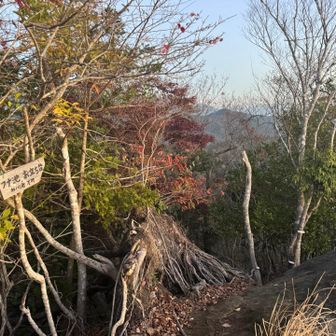 こっちも行ってみたいなぁ