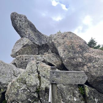 砂払いの頭まで戻って来た､､､
その後、大先輩にお会いできないままとなったことが残念だな､､､またお会いできるかなと思い、ろくすっぽ挨拶もせぬままになっちゃって