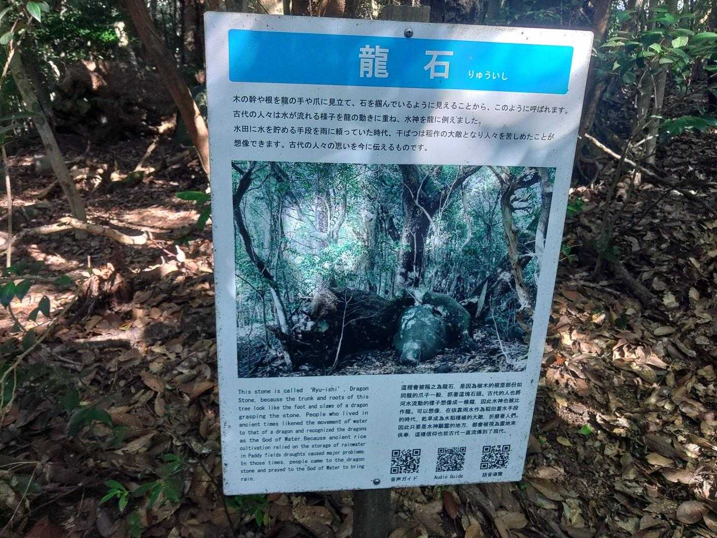 途中にある 龍石