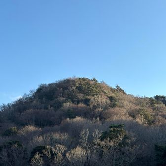 菰野富士、ありがとう