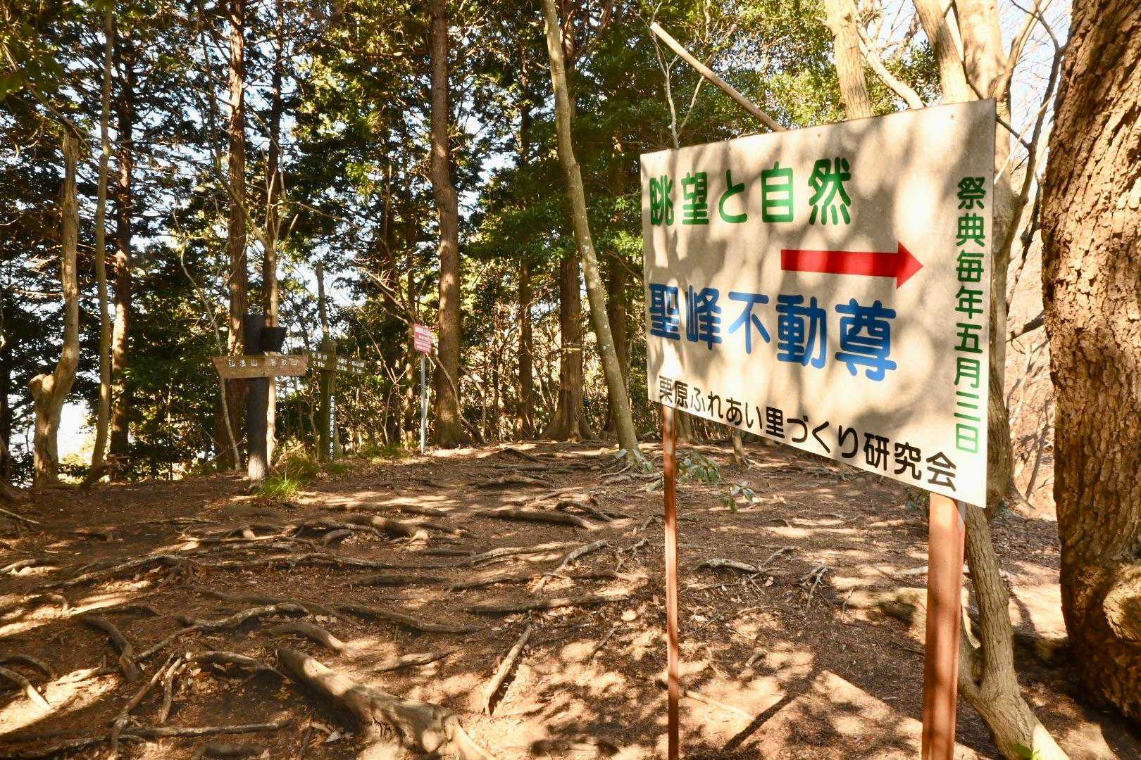 弘法山や念仏山から大山に向かうルートに合流する。