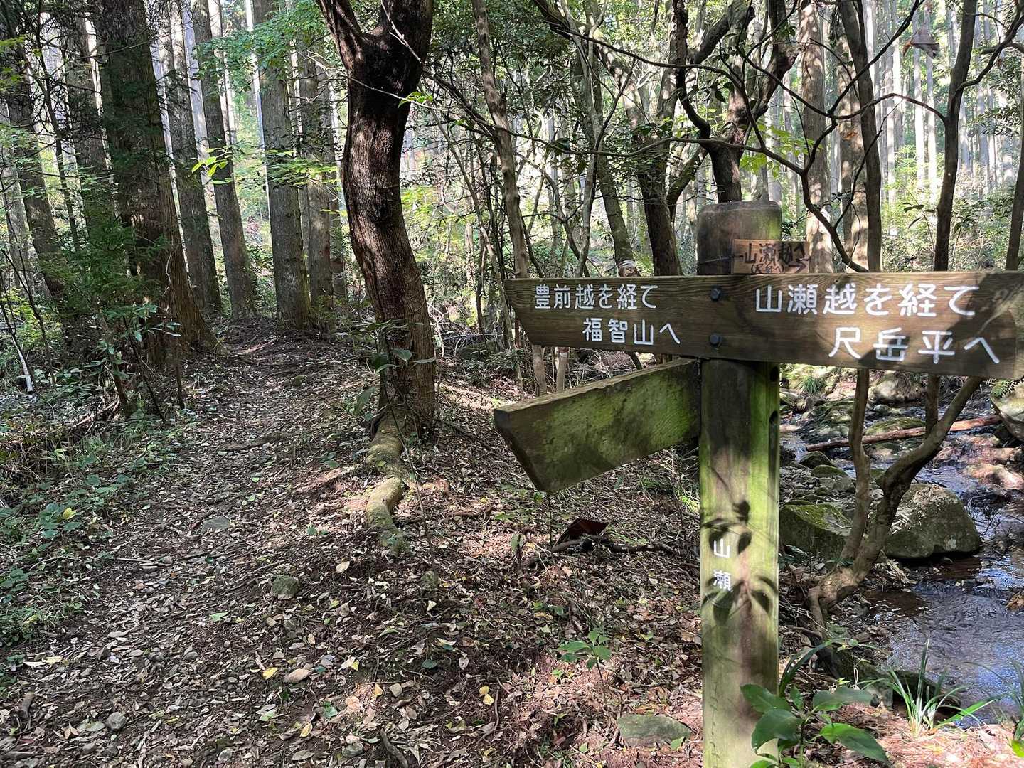 私は、ここを通るのは三回目くらい。
山瀬越から初めて来た時、ドキドキしたなぁ。
懐かしい。