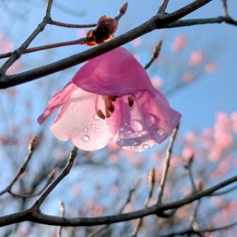 雨上がりの青空、良いね